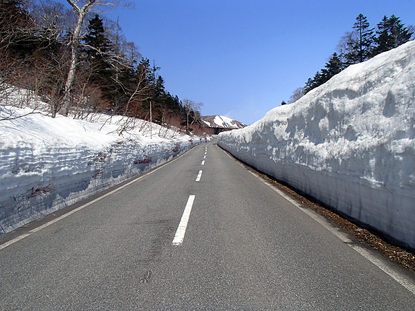 雪の回廊（磐梯吾妻スカイライン）